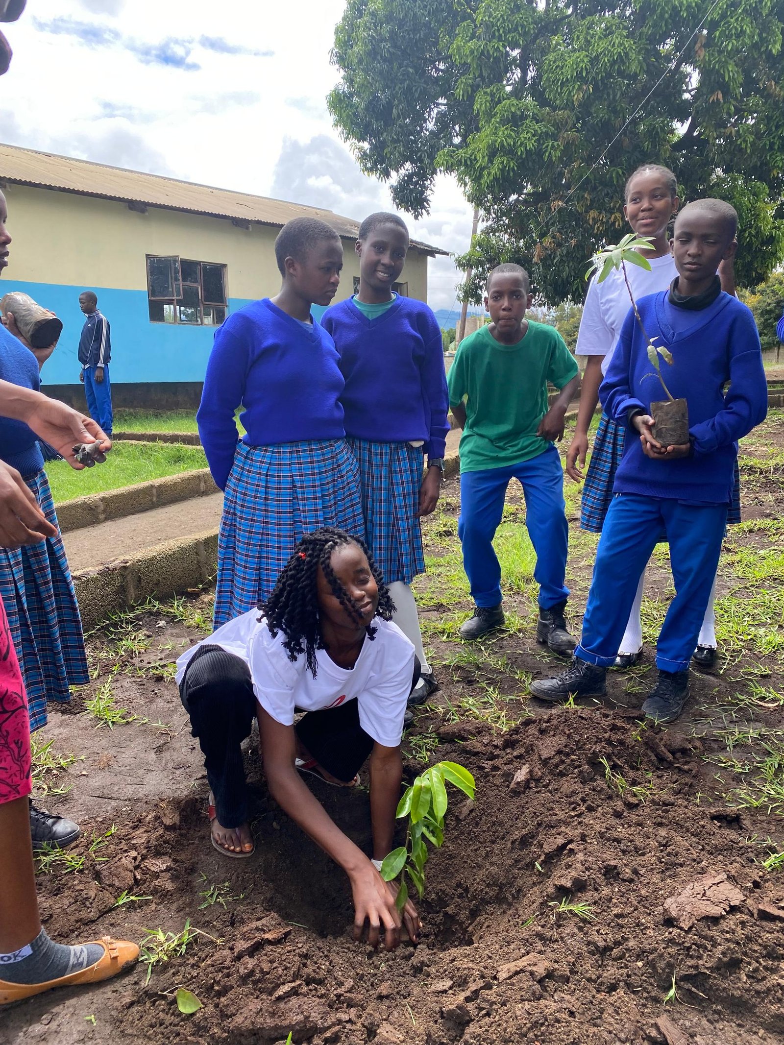 IMG-20250512-WA0008[1]