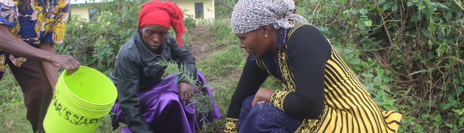 We train private people on how to plant trees and take care of them in order to raise awareness on environmental issues.